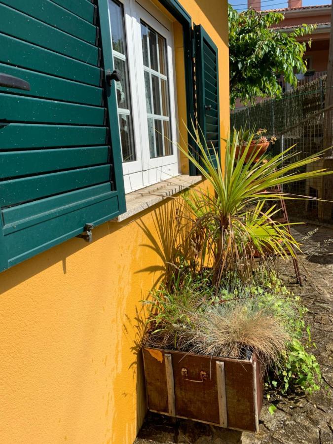 Hébergement de vacances Casinha à Porta